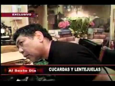 CUCARDAS -