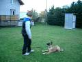 Elix 5 Monate beim Legen Elix 5 Monate beim Legen