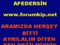 T�rkce Karaoke   Demet Akalin  Afedersin