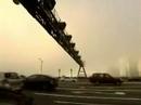 heron-and-crane.html