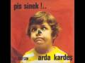 Arda Kardeş - Pis Sinek (Issiz Adam da Ada'nin aldigi plak)