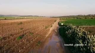 خربة بيت فار المهجرة اللد فلسطين ??