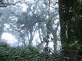 Volcan El Chingo El Salvador Guatemala
