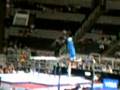 Sasha Artemev Pommel Horse, Justin Spring High Bar 2007