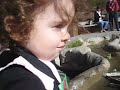 Izzy and the Stream