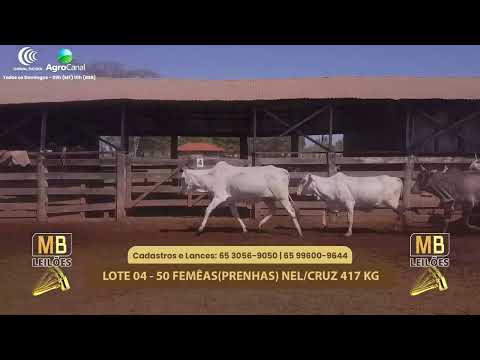 508� LEIL�O VIRTUAL MB LEIL�ES