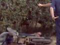 videos de los autores de homicidio  2