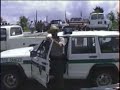Bear breaks in car at Clingmans Dome, Smoky Mounts, TN..Cont