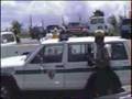 Bear breaks in car at Clingmans Dome, Smoky Mounts, TN..Cont