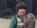 five-are-together-again-part-1.html