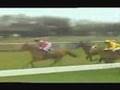 Grand National 1987