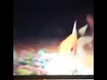 Rapping goldfish