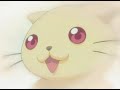 love hina screaming infidelities love hina screaming infidelities