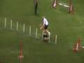 Jumping Italia Team Medium: Toniolo con Dust