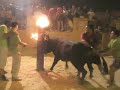 TOROS ALFAFAR \ TOROS ALFAFAR \
