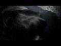 videos de RMSF Project