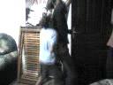 homens aranhas gayss
