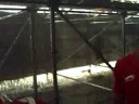 Poshteh sahneyeh bazi Iran BeachSoccer