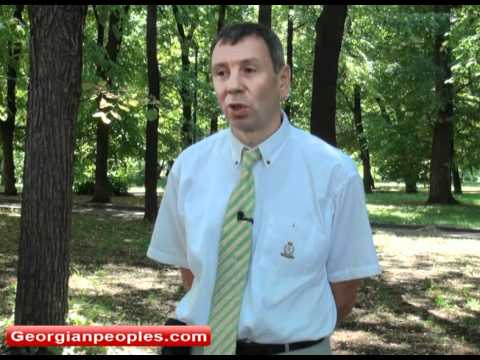 ქართულ ოპოზიციას ამბიციები ღუპავს
