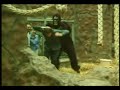trigger happy tv gorilla in the zoo
