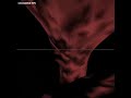 Simulating Large Objects 2