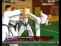 bandae dollyo chagi