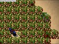 tibia PK Unline OT Part 3