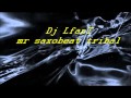 dj lfant Mr saxobeat tribal