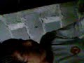 zipoli.............jodiendo en la sala!