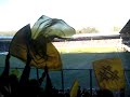 De Graafschap v NAC: 0 - 1
