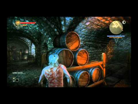 The Witcher 2 : Assassins of Kings