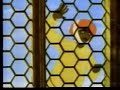 O Antílope Dourado - Parte 01