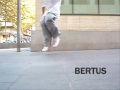 bertus-so sick remix video... love my live... love my crew! bertus-so sick remix video... love my live... love my crew!