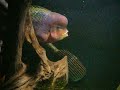 Mexico biotope