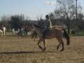 videos de Moi et Oxo