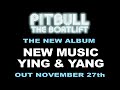 Pitbull The Boatlift 11/27/07 Snippet Mix #2 Pitbull The Boatlift 11/27/07 Snippet Mix #2