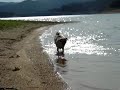 Donna dandose un chapuz�n en el pantano de Boadella(Darnius)