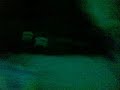 Nini & Vanja.mp4