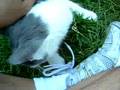 She's marking me!