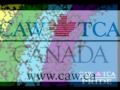 International Day Against Homophobia and Transphobia