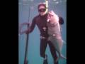 videos de Ninja SpearFishing Cozumel