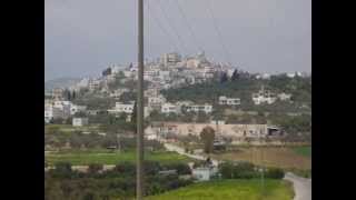 AJJA قرية عجة