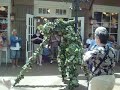 vine lady