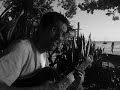 sol mar amigos e boa música 1  marinheiro