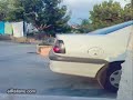 Un monton de videos pa que os riais