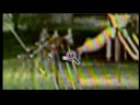 Video-Released-Of-Sc