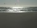 San Francisco Ca OCEAN BEACH. - 05-06