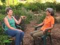 Corporate Couple Become Permaculture Activists