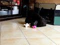 Diva fait la folle.wmv