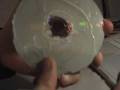 Come riparare DVD rigato. (Film - Cd musicale - Xbox - Ps3)